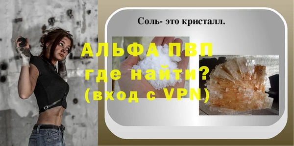 гашик Абаза
