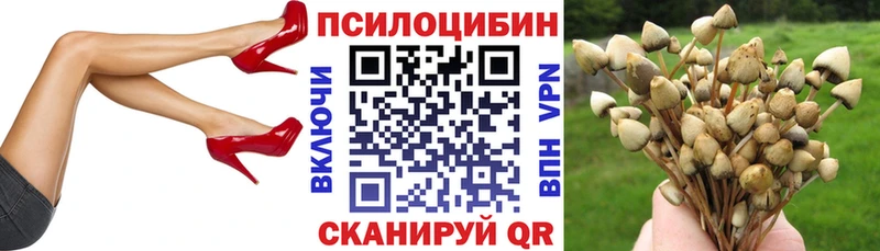 магазин  наркотиков  Остров  Псилоцибиновые грибы Psilocybine cubensis 